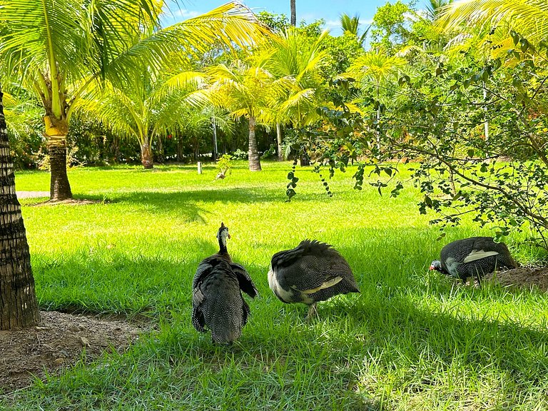 Maruwá - AP das Gordinhas - ideal para parejas