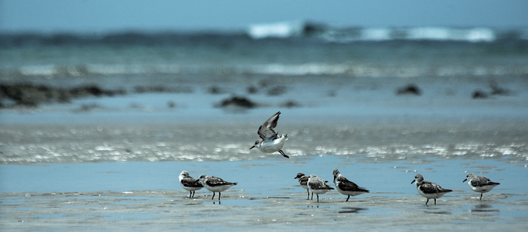 Maruwá - Villa Estrela do Mar - Morro de São Paulo